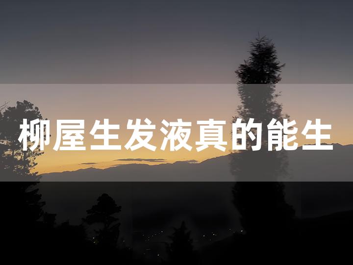 柳屋生发液真的能生发吗，效果怎样？