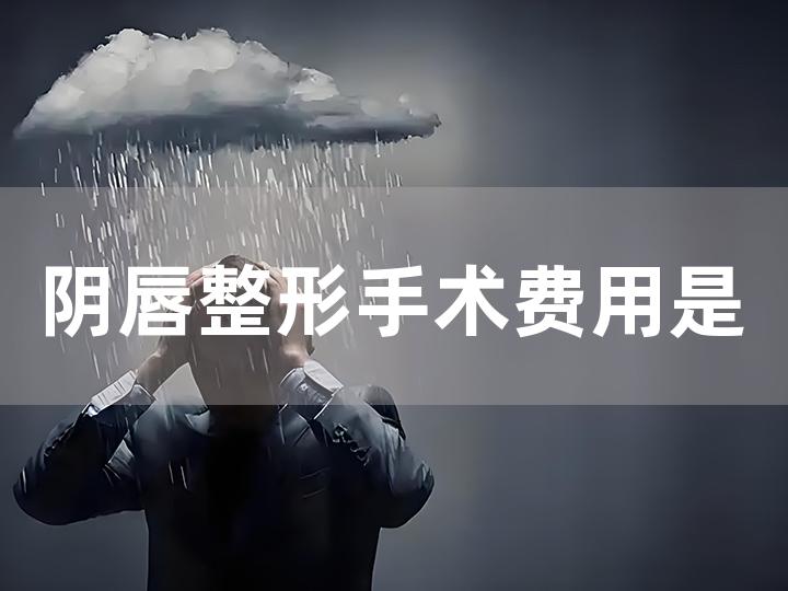 阴唇整形手术费用是多少，术后护理注意事项？